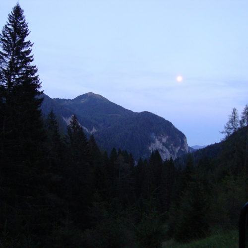 Incendio boschivo Malga Veltri n. 7 / 85697