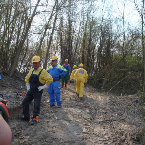 Intervento Fiume Veneto n. 5 / 78964