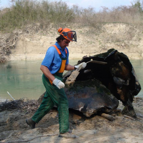 Intervento Fiume Veneto n. 16 / 78975