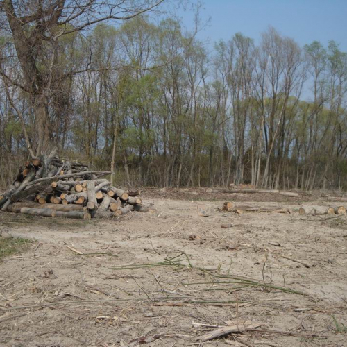 Intervento Fiume Veneto n. 20 / 78979