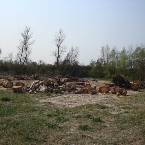 Intervento Fiume Veneto n. 21 / 78980