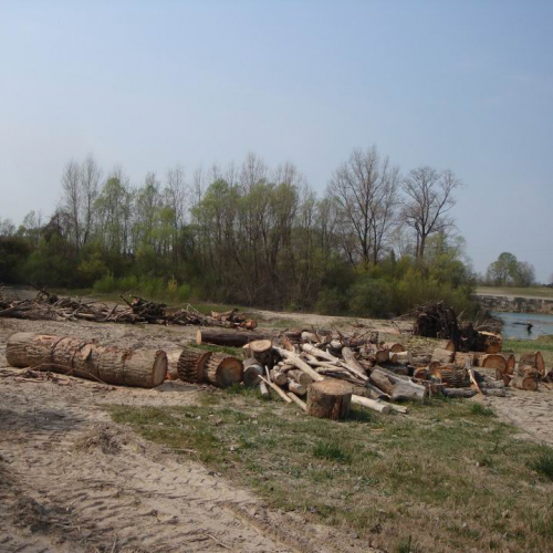 Intervento Fiume Veneto n. 22 / 78981