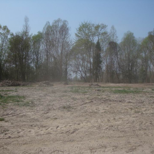 Intervento Fiume Veneto n. 23 / 78982