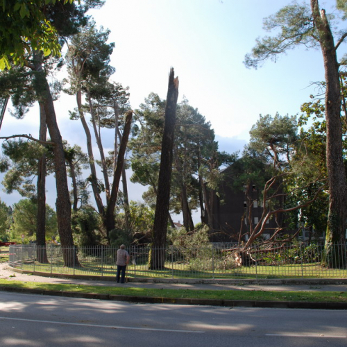 Tromba d'aria a Pavia di Udine n. 1 / 54524