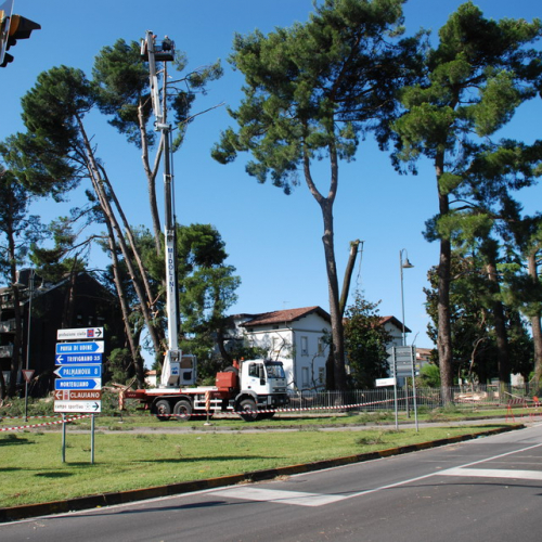 Tromba d'aria a Pavia di Udine n. 2 / 54525