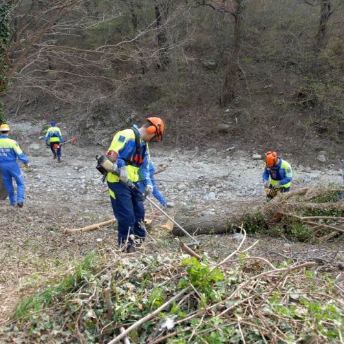 Alvei Puliti 2012 n. 6 / 78207