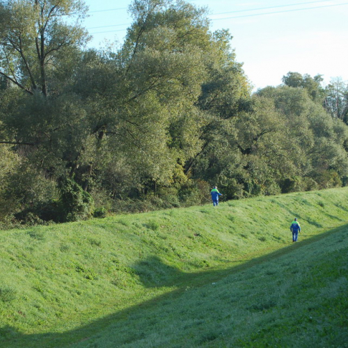 foto Visinale 1 / 17069