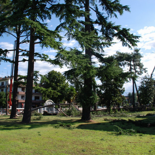 Tromba d'aria a Pavia di Udine n. 3 / 54526