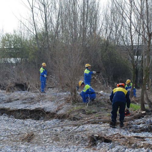 Intervento alveo Torre nelle vicinanze dell'abitato di Salt n. 3 / 78677