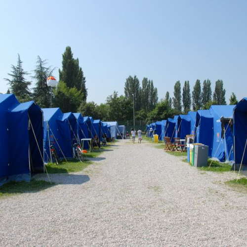 Attivit‡ dei volontari a Mirandola n. 4 / 82103