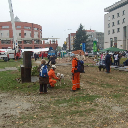 foto 18/10 n. 3 / 17988