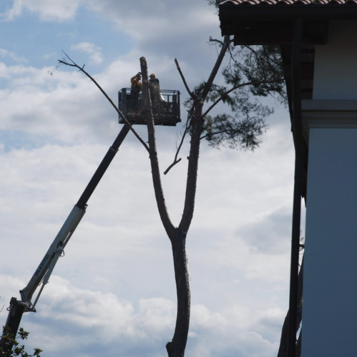 Tromba d'aria a Pavia di Udine n. 4 / 54527