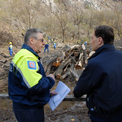 Alvei Puliti 2012 n. 8 / 78209