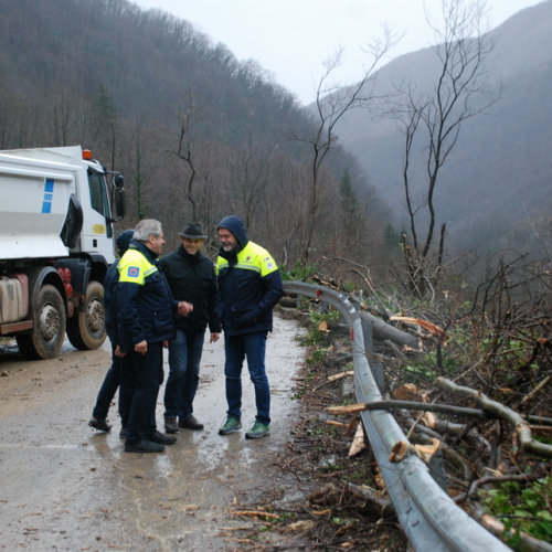 Sopralluogo Assessore a Torreano n. 3 / 104600