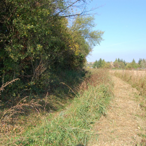 Lucinico, Stradone della Mainizza / 5993