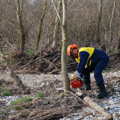 Intervento alveo Torre nelle vicinanze dell'abitato di Salt n. 4 / 78678