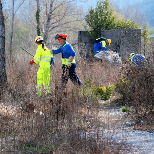 Intervento Fiume Isonzo nei pressi del Ponte di Sagrado n. 4 / 78616