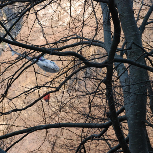Intervento antincendio del 21/03 n. 6 / 36239