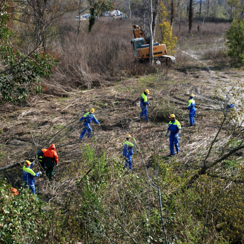 Intervento Fiume Isonzo nei pressi del Ponte di Sagrado n. 5 / 78617