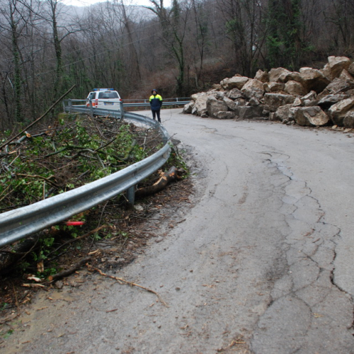 Sopralluogo Assessore a Torreano n. 6 / 104603