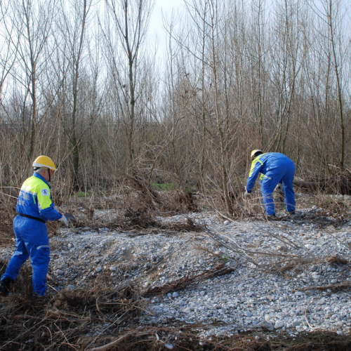 Intervento alveo Torre nelle vicinanze dell'abitato di Salt n. 7 / 78681