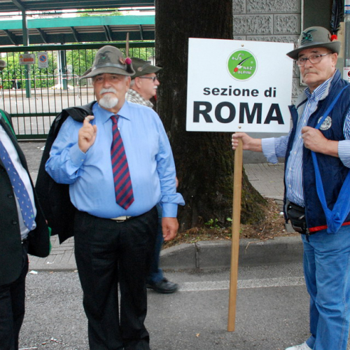 Supporto logistico e Sfilata n. 5 / 108298