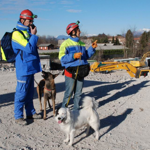 foto esercitazione 2 / 33972