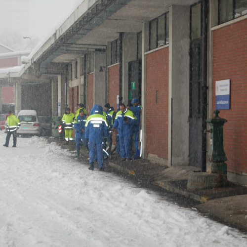 Milano 07/01/09 n. 11 / 33858