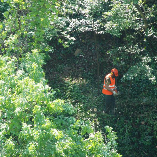 Foto Consegna lavori OPI CD2/352.196 14 / 39154