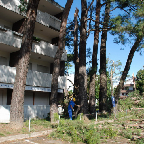 Tromba d'aria a Pavia di Udine n. 6 / 54529