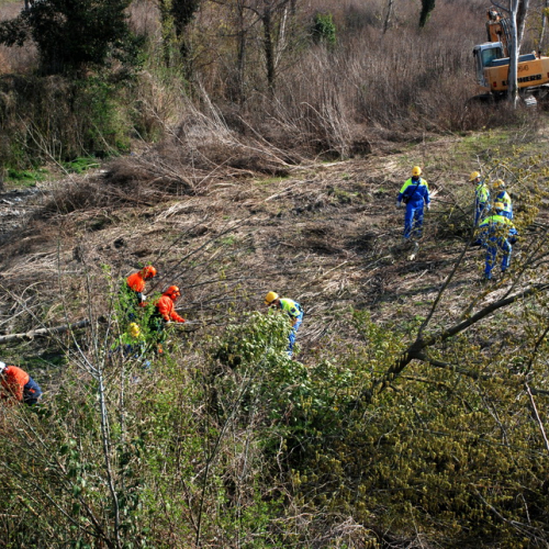 Intervento Fiume Isonzo nei pressi del Ponte di Sagrado n. 6 / 78618