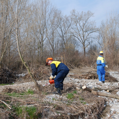Intervento alveo Torre nelle vicinanze dell'abitato di Salt n. 8 / 78682
