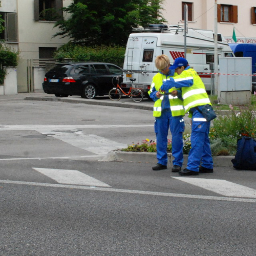 Supporto logistico e Sfilata n. 6 / 108299