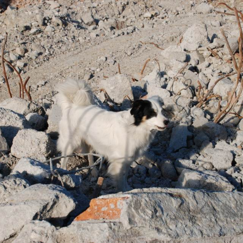 foto esercitazione 3 / 33973