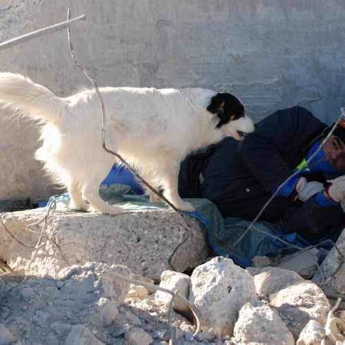 foto esercitazione 4 / 33974