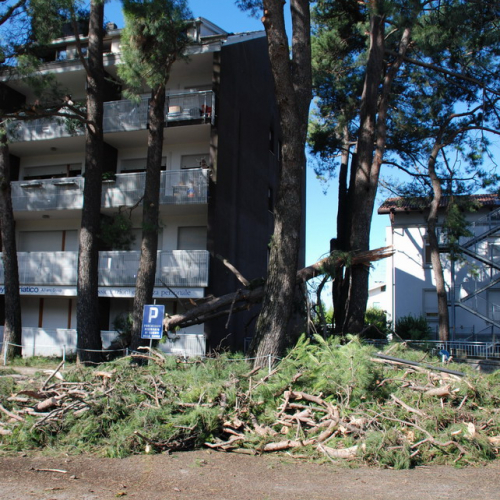 Tromba d'aria a Pavia di Udine n. 8 / 54531