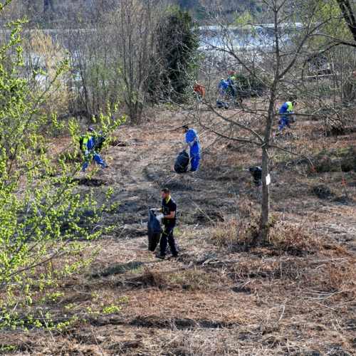 Intervento Fiume Isonzo nei pressi del Ponte di Sagrado n. 7 / 78619