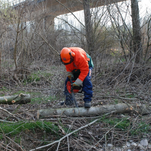 Intervento alveo Torre nelle vicinanze dell'abitato di Salt n. 9 / 78683