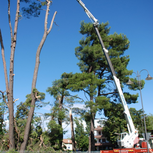 Tromba d'aria a Pavia di Udine n. 9 / 54532