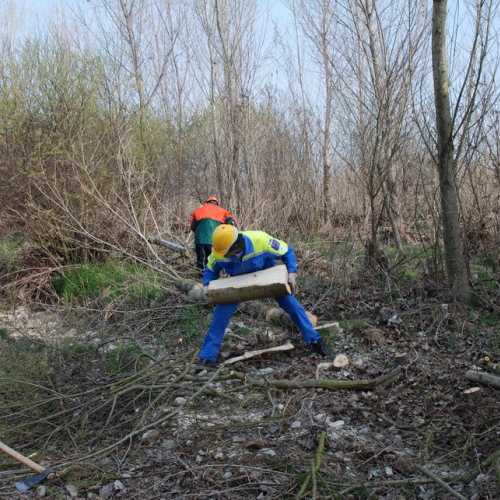 Intervento alveo Torre nelle vicinanze dell'abitato di Salt n. 10 / 78684