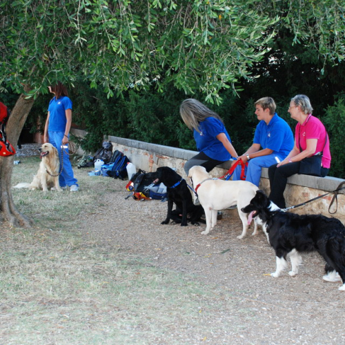 Passa una notte in tenda 2013 n. 5 / 97792