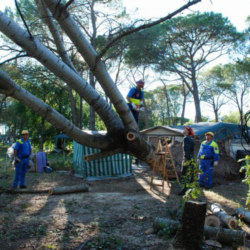 Aquileia - Campeggio Belvedere 9 / 28237
