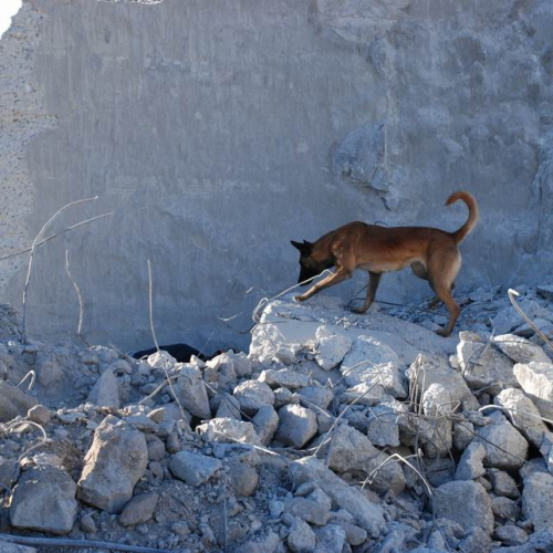 foto esercitazione 7 / 33977