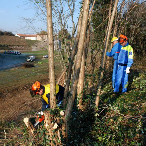 Esercitazione 19/11 n. 4 / 72878