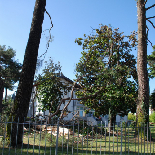 Tromba d'aria a Pavia di Udine n. 10 / 54533