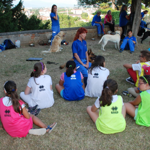 Passa una notte in tenda 2013 n. 6 / 97793