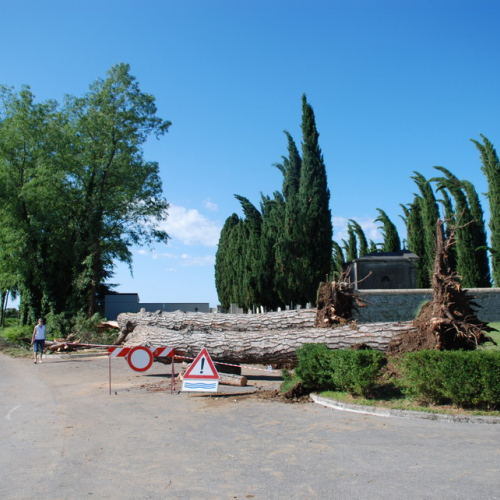 Tromba d'aria a Pavia di Udine n. 11 / 54534