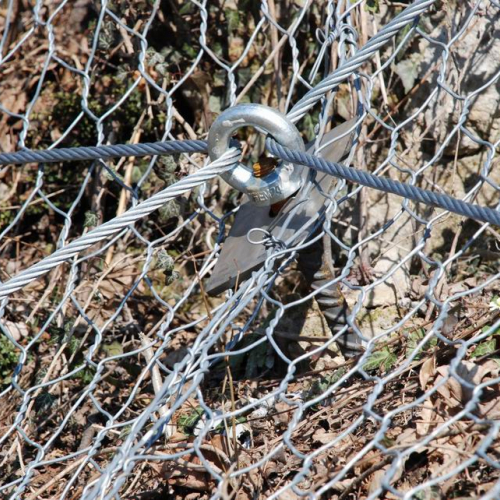 foto OPI CD2/352.191 10 / 35394