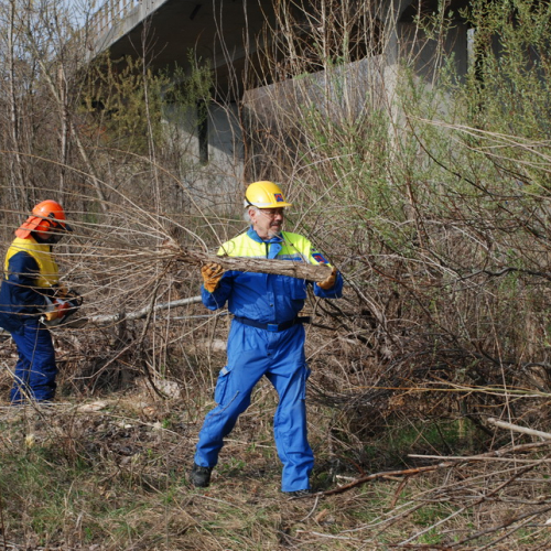 Intervento alveo Torre nelle vicinanze dell'abitato di Salt n. 11 / 78685