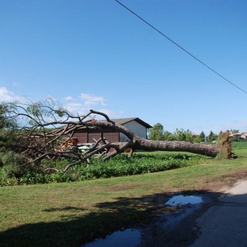 Tromba d'aria a Pavia di Udine n. 13 / 54536